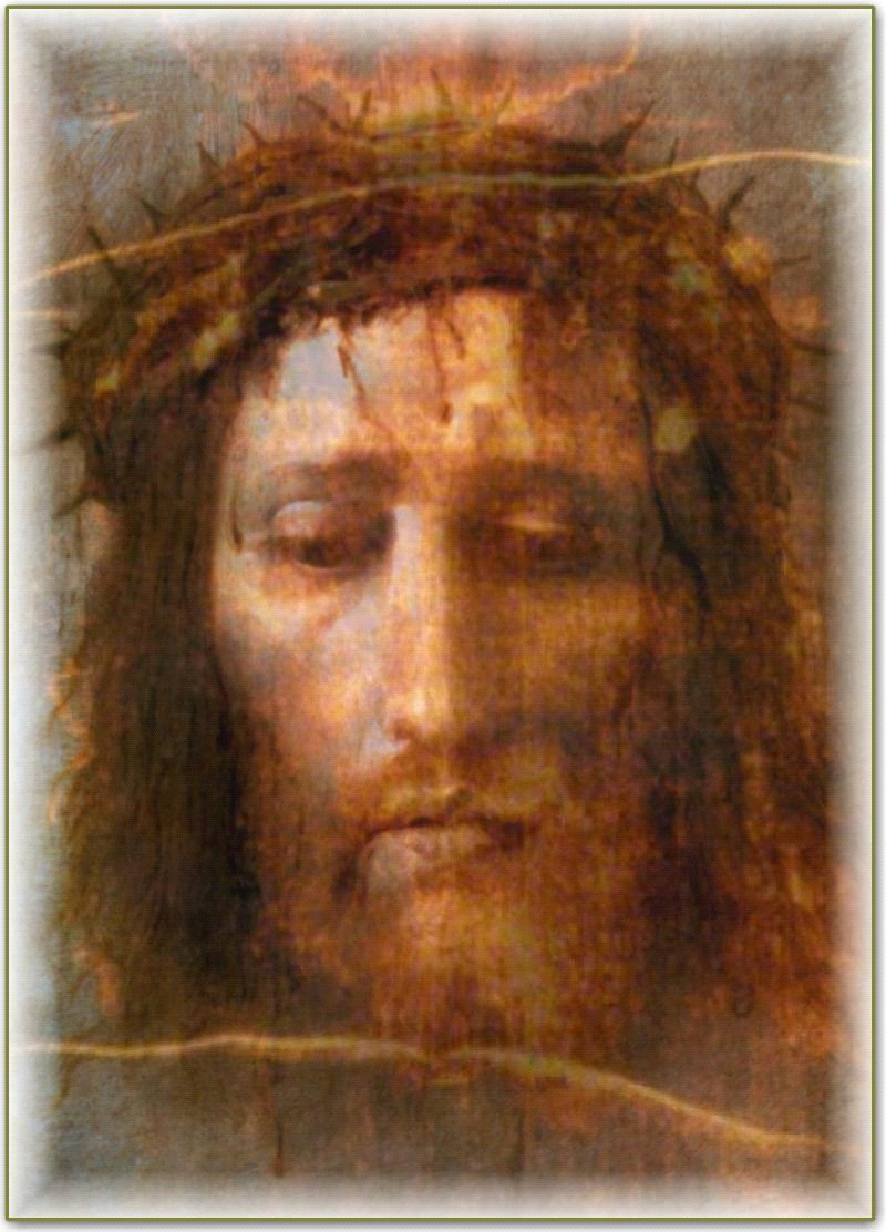 Image16
